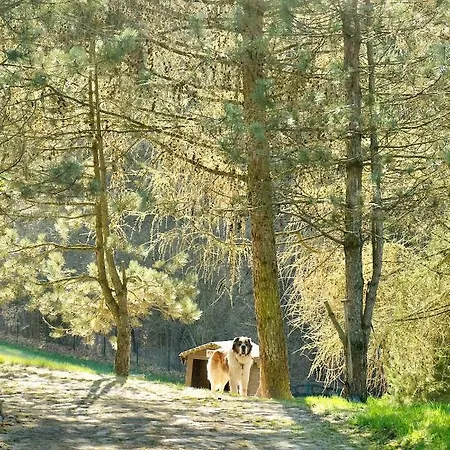 Semesterbostad Agroturystyka Strzebielino Strzebielino